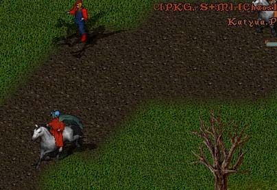 103113.jpg (34495 �o�C�g)