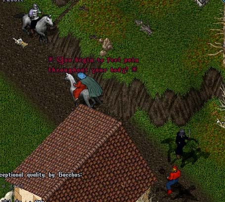 103116.jpg (61297 �o�C�g)