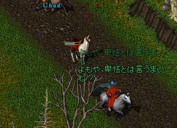 103125.jpg (32638 �o�C�g)