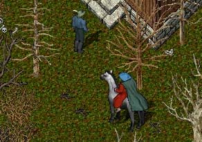 103126.jpg (30763 �o�C�g)