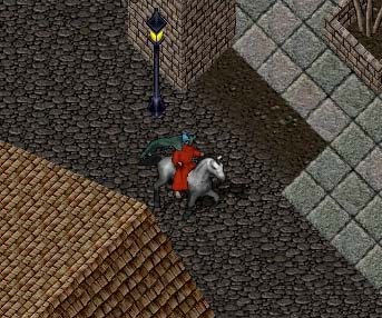 110101.jpg (44465 �o�C�g)