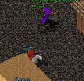 110102.jpg (33115 �o�C�g)